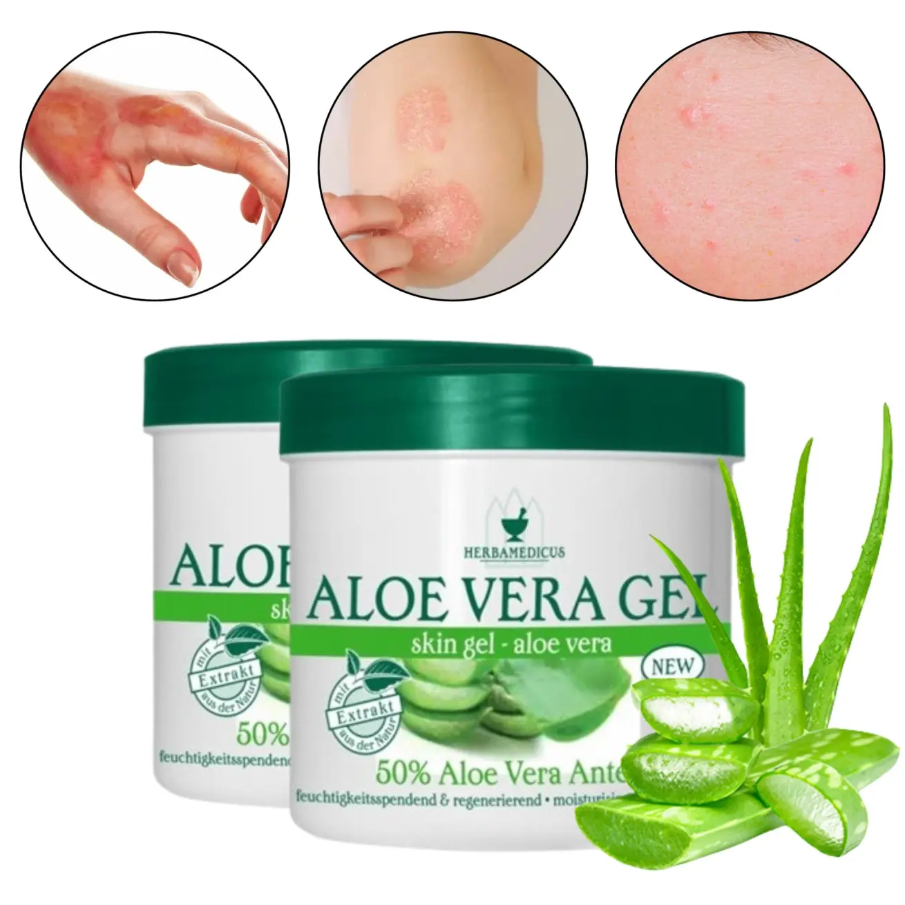 buy aloe vera plant 4