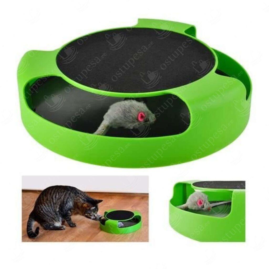 Kassi mänguasi, pöörlev alus hiirega, roheline-must