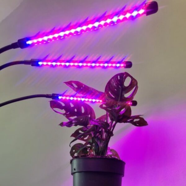 LED-lamp taimede kasvatamiseks, 3 haruga, Gardlov