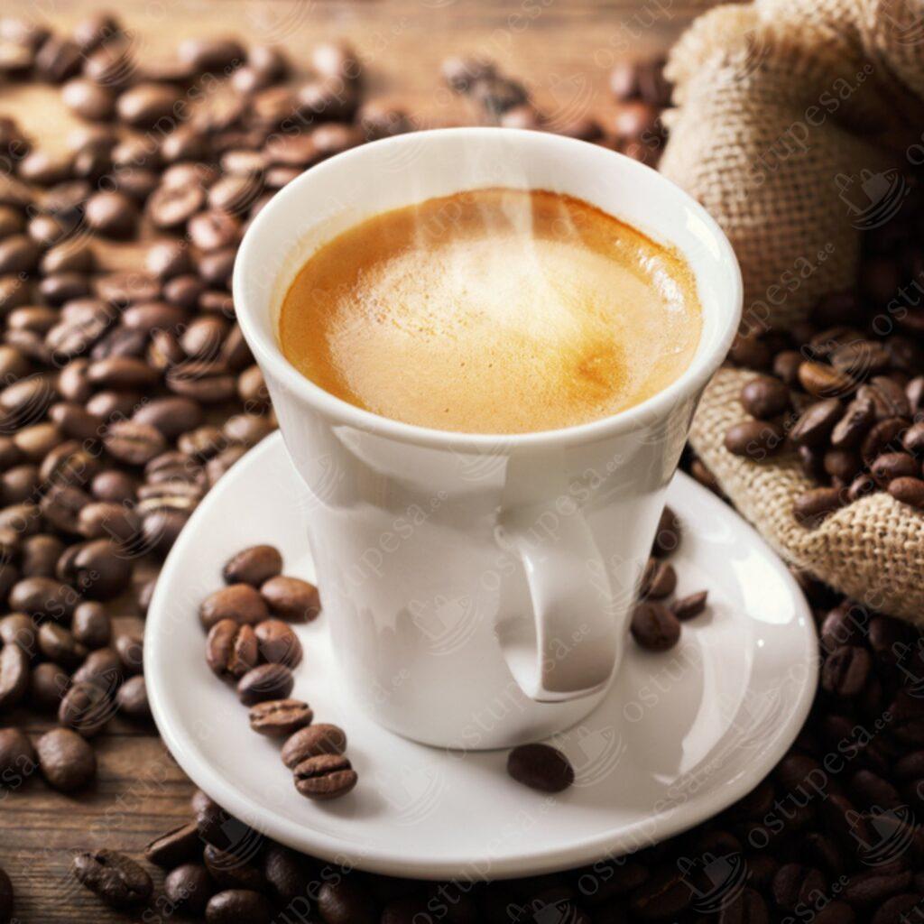 Kohvimasina katlakivieemaldaja, 500 ml, FilterLogic, 2 tk komplektis