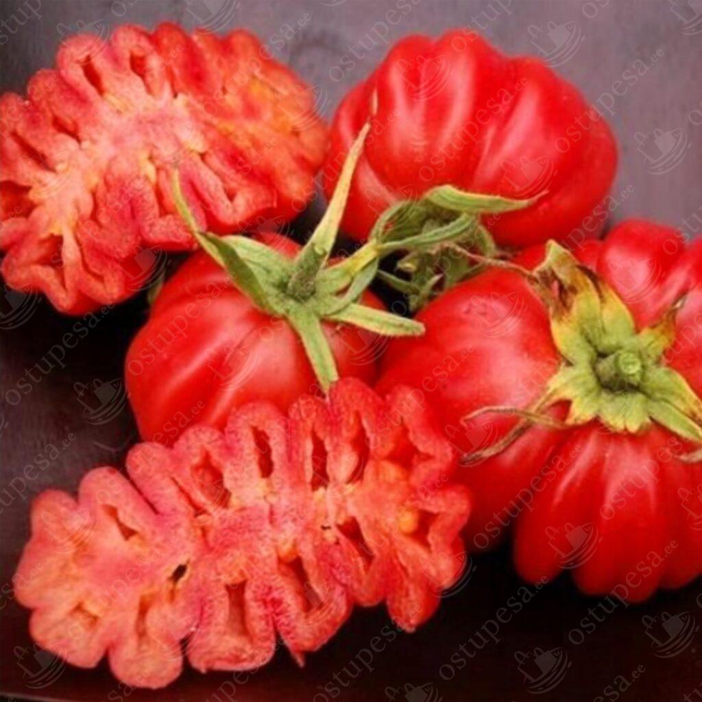 Tomatiseemned, 2 x must kirsstomat ja 2 x punane tomat komplektis