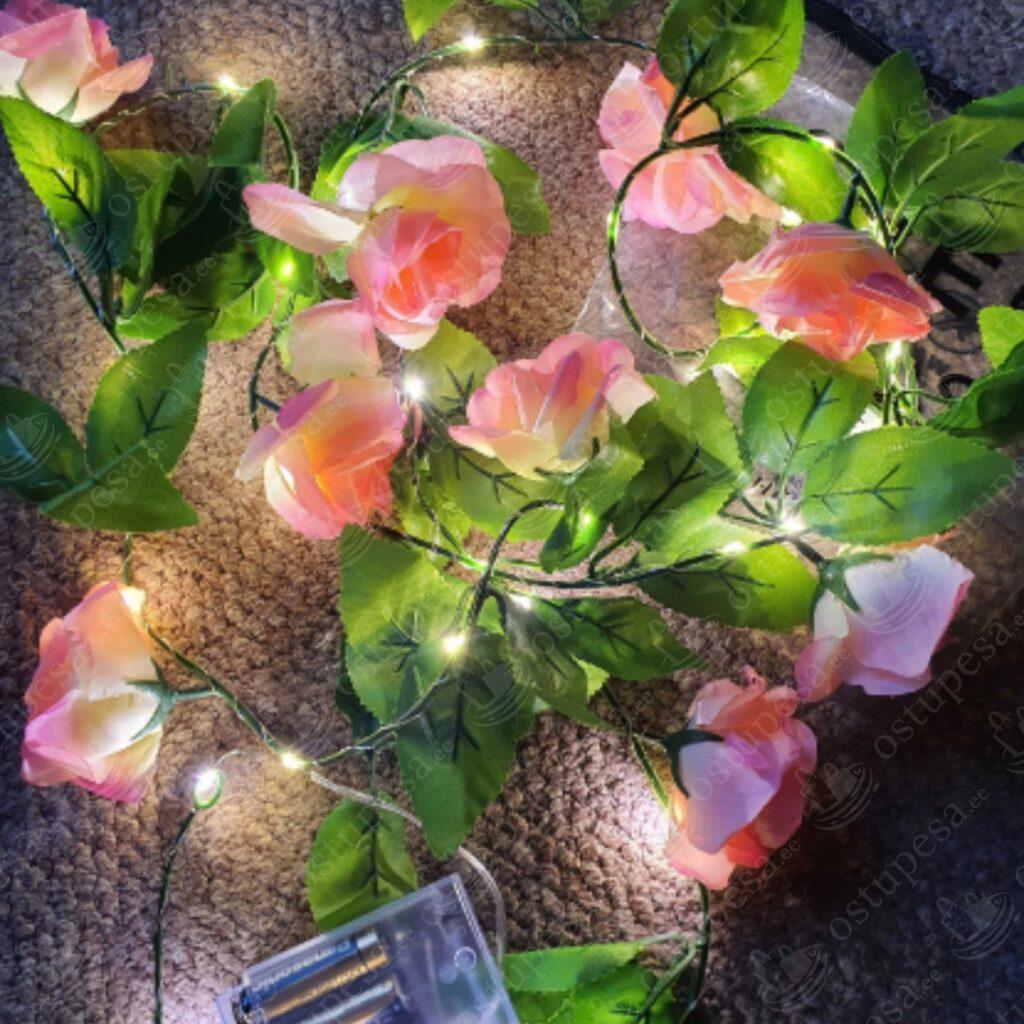 LED dekoratiivsed roosid, 2 pakki komplektis