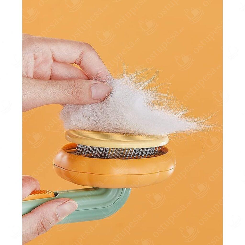 Lemmiklooma hari “Lill”, oranž-roheline