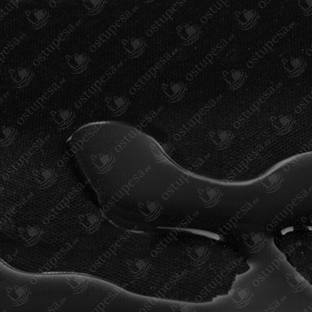 Lemmiklooma iste autosse