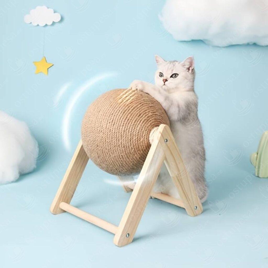 Kassi kraapimiskera alusel