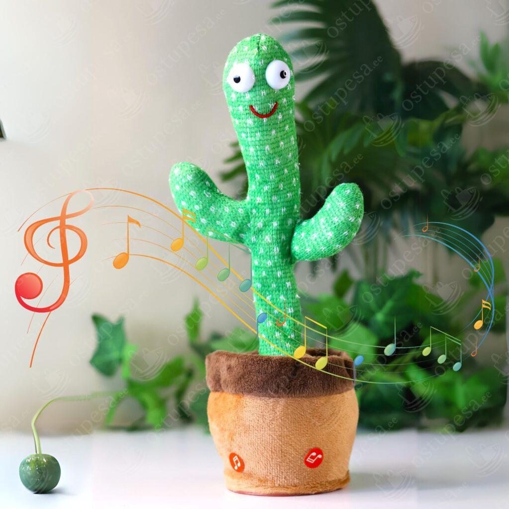 Interaktiivne mänguasi, kaktus