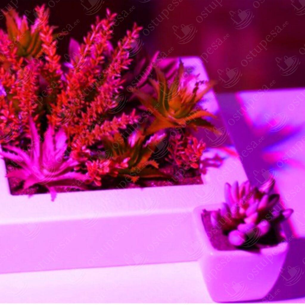 LED lamp taimede kasvatamiseks, 200 LED