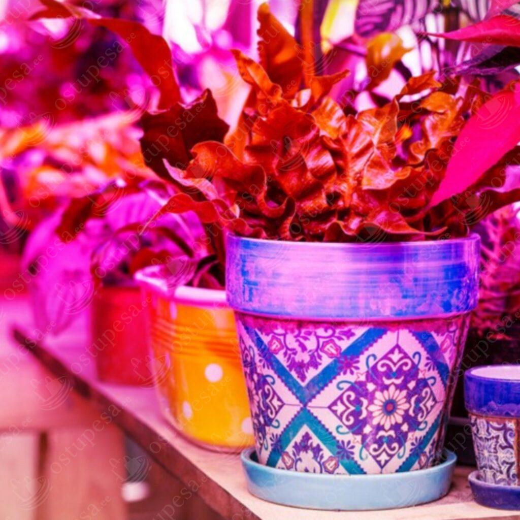 LED lamp taimede kasvatamiseks, 200 LED