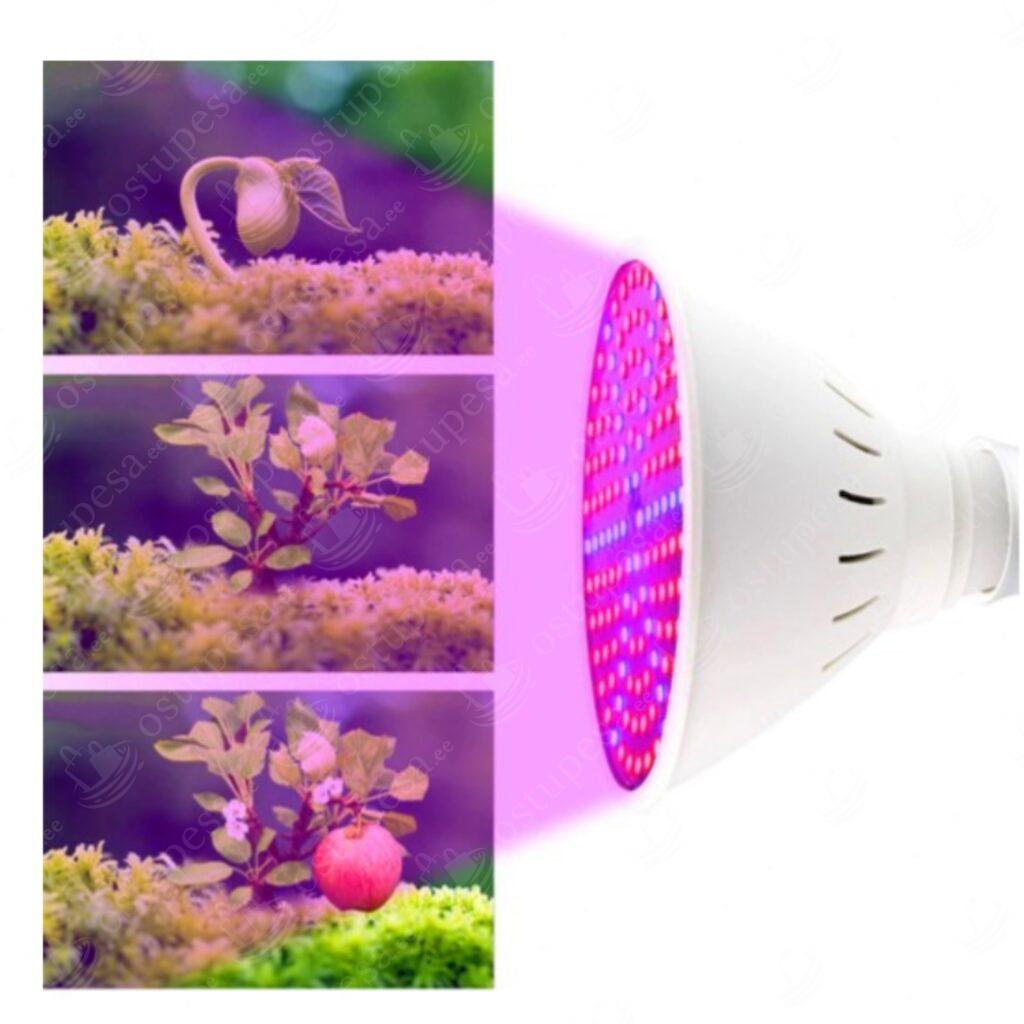 LED lamp taimede kasvatamiseks, 200 LED