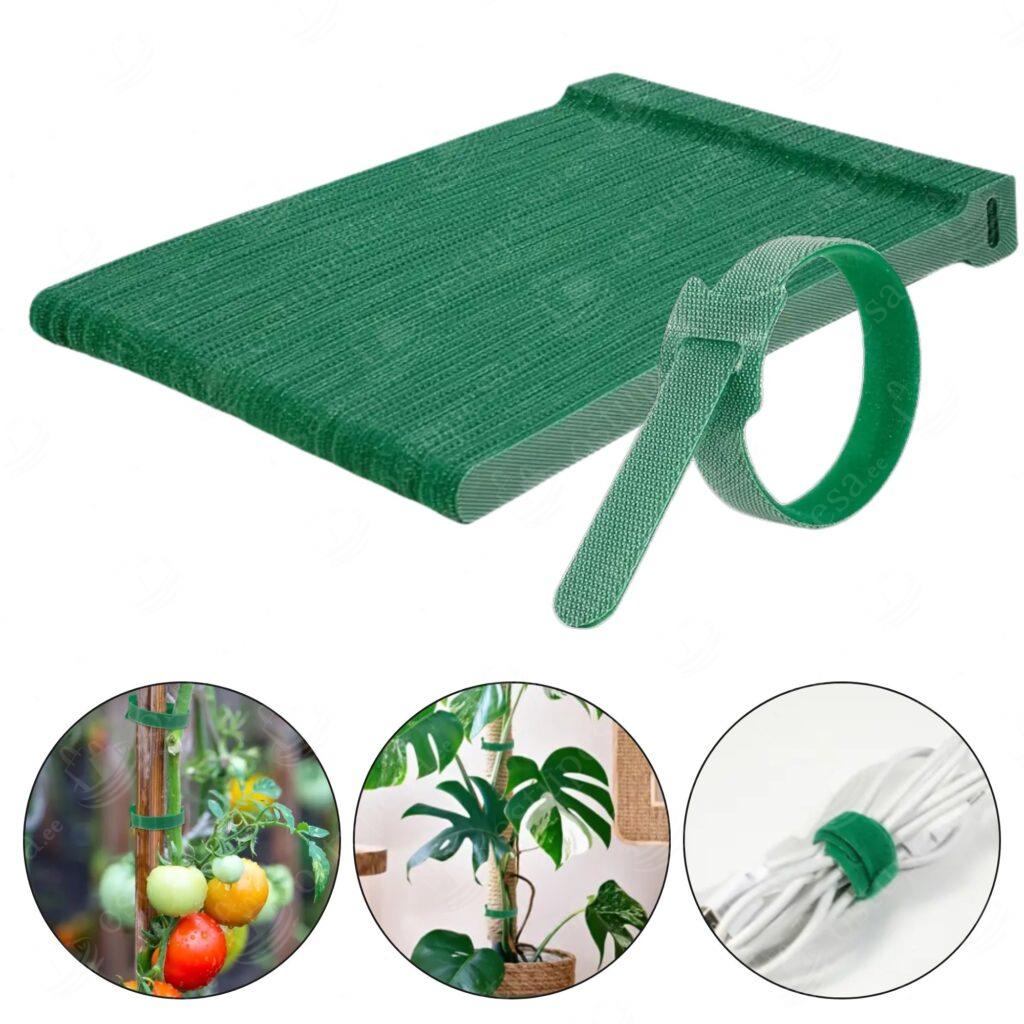 Takjakinnitusega taimepaelad, 100 tk komplektis