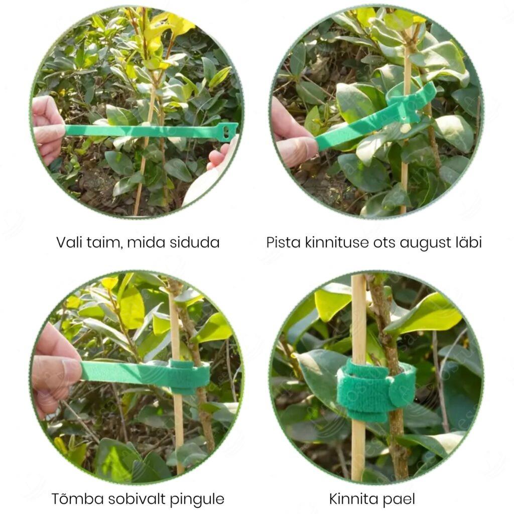 Takjakinnitusega taimepaelad, 100 tk komplektis