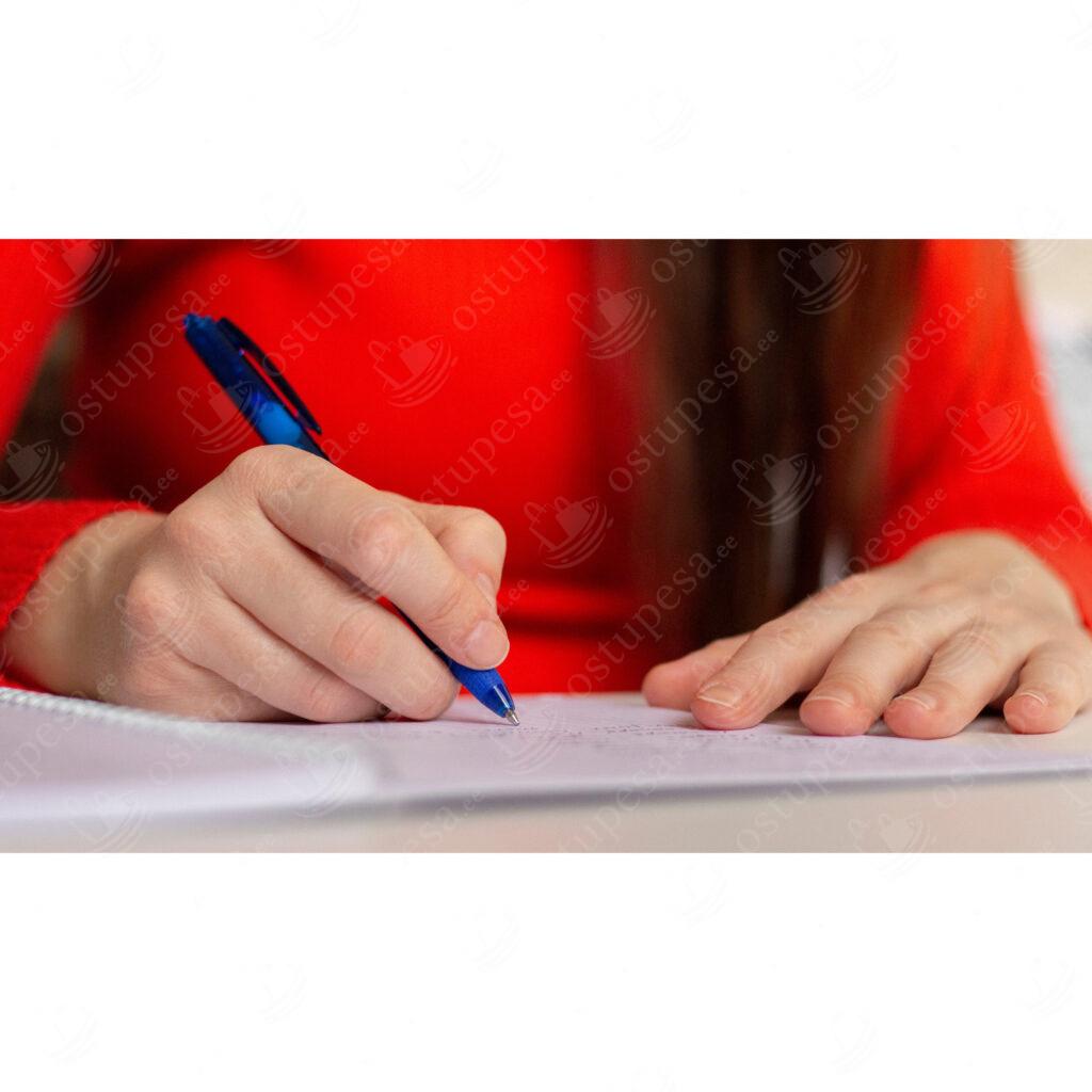 Kustutatavad pastapliiatsid, 12 tk komplektis, sinine