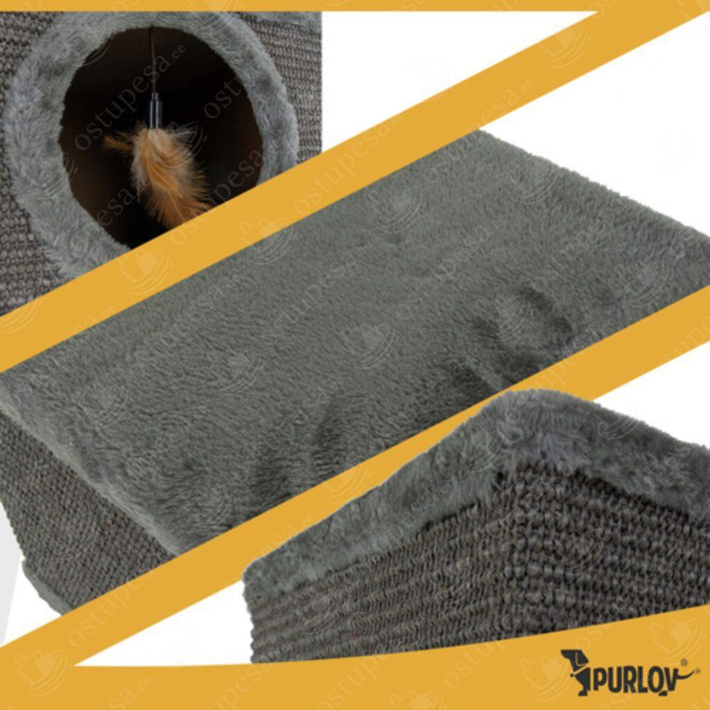 Kassimaja jalgadel, Purlov