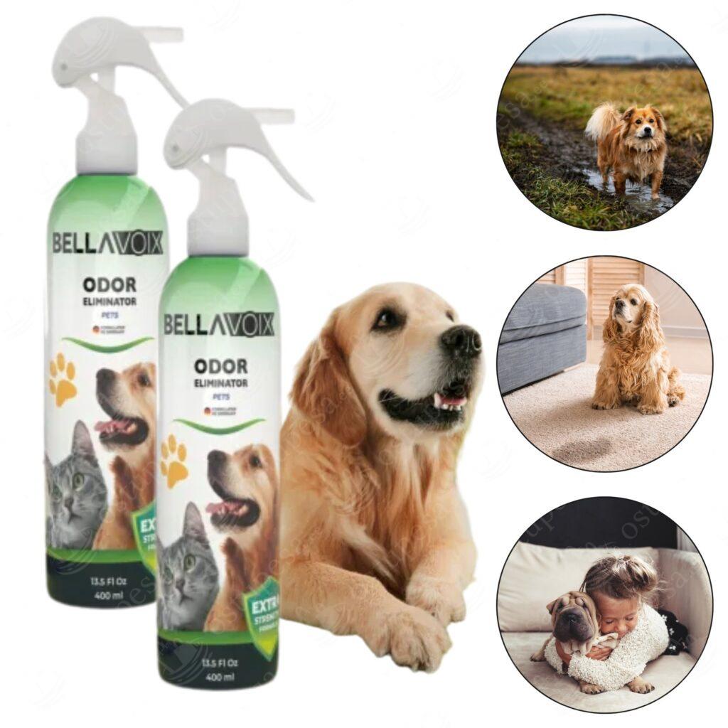 Lemmiklooma lõhnade eemaldaja sprei, 2 x 400 ml, Belavoix