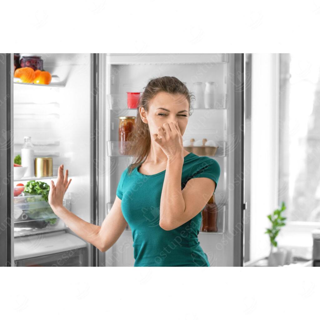 Külmkapi lõhnade neutraliseerija, General Fresh, 4 tk