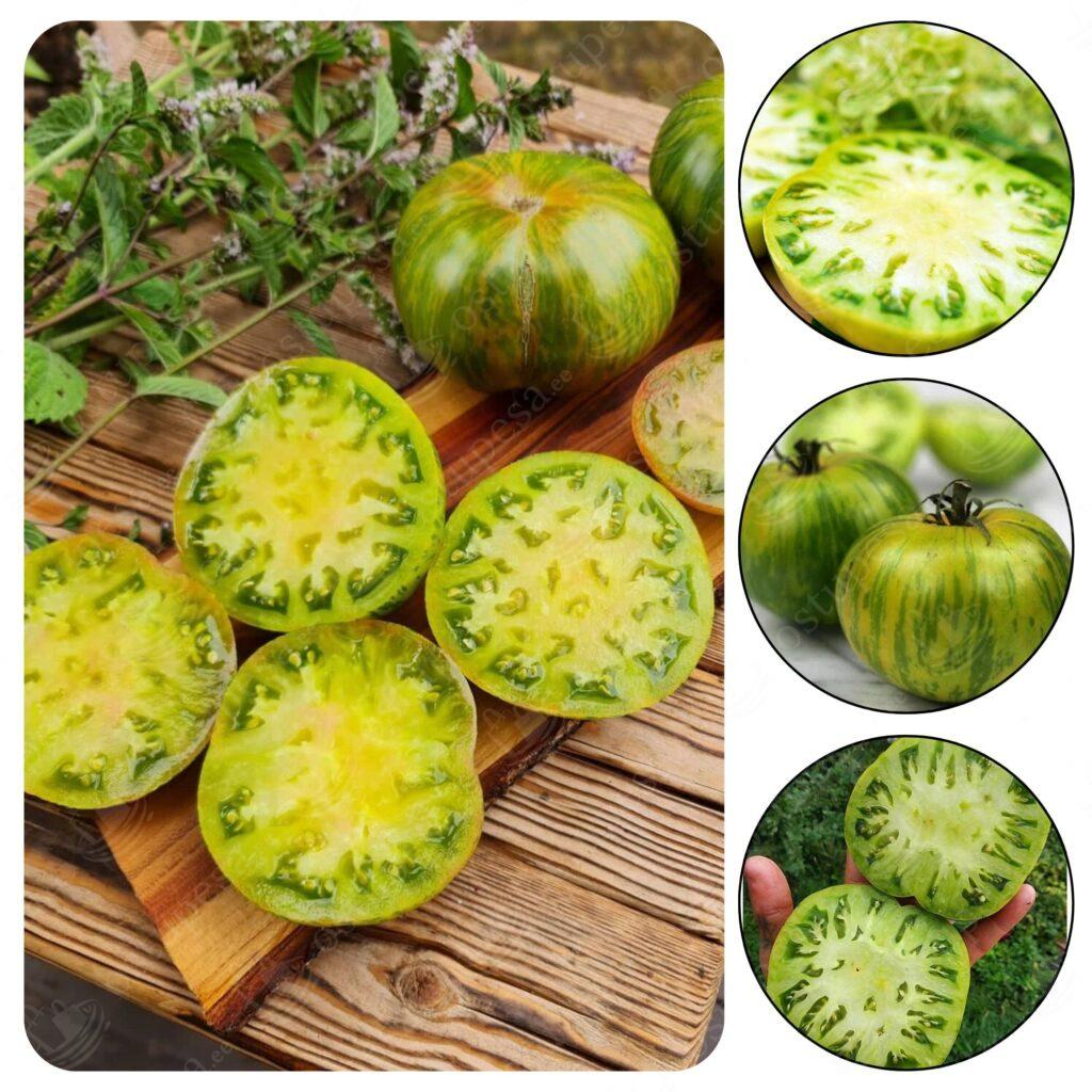 Tomatiseemned “Evergreen”