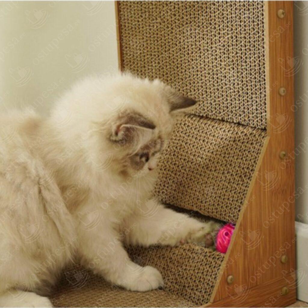 2-ühes kassi kraapimisalus, Purlov