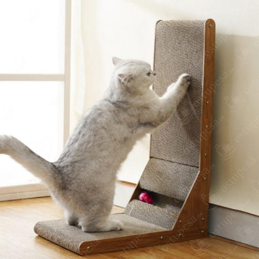 2-ühes kassi kraapimisalus, Purlov