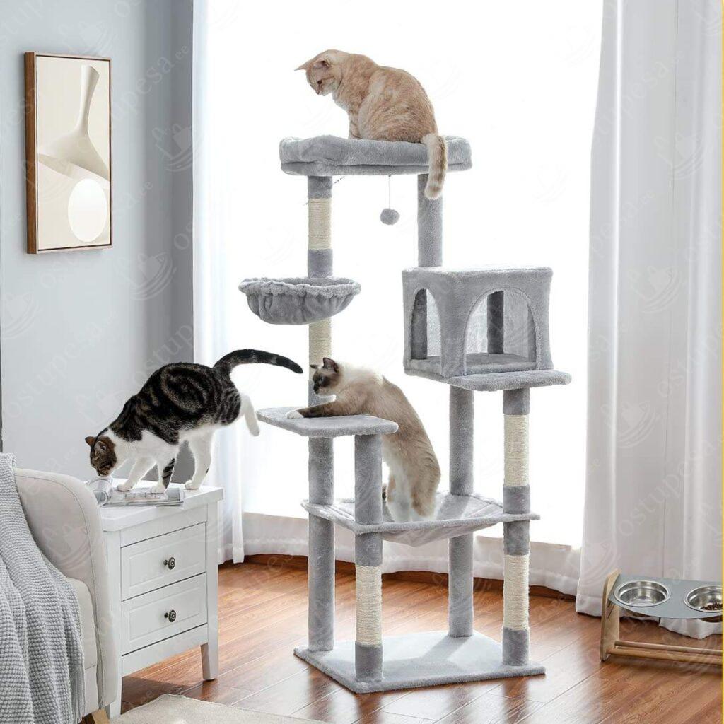 Kassi kraapimispuu, 143 cm