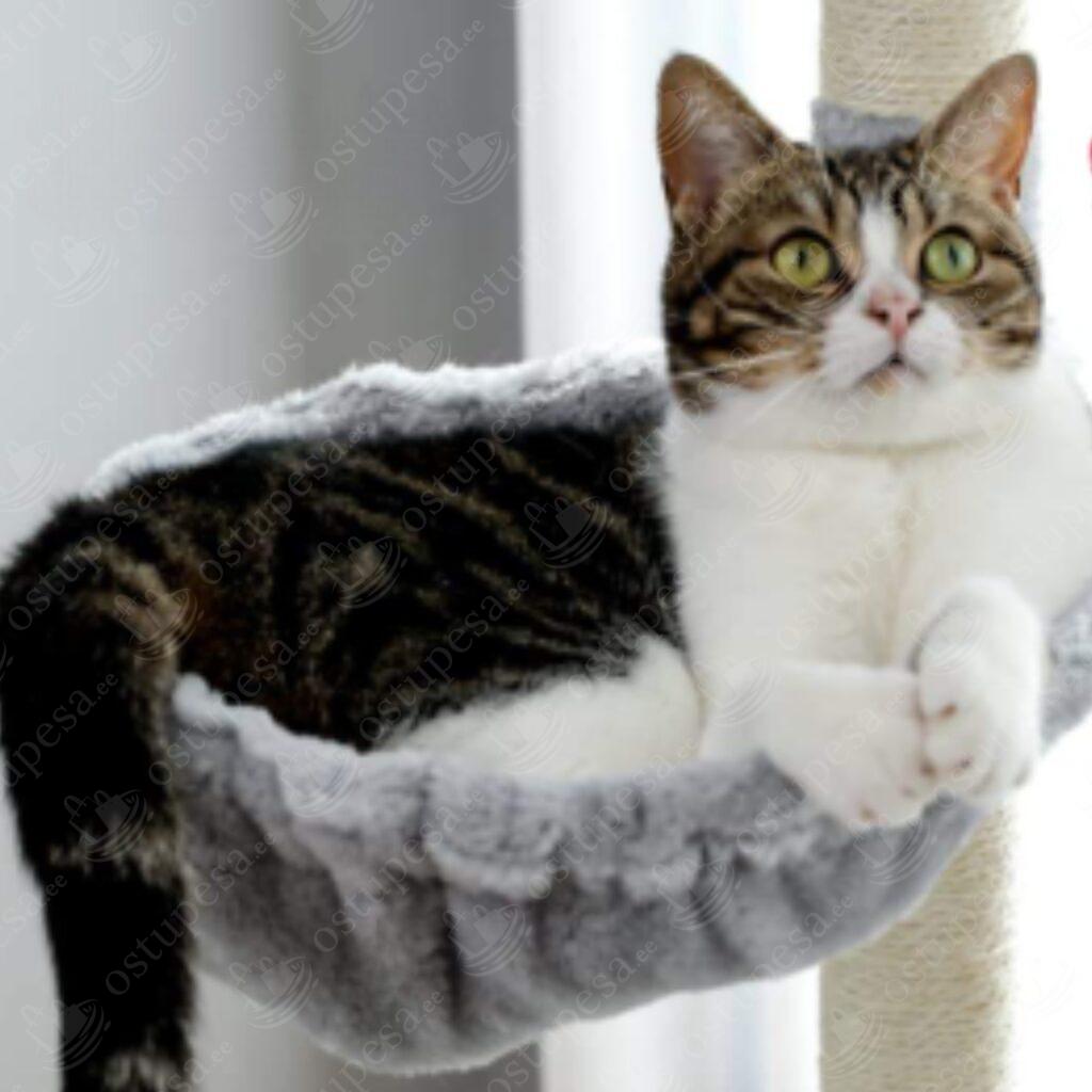 Kassi kraapimispuu, 143 cm