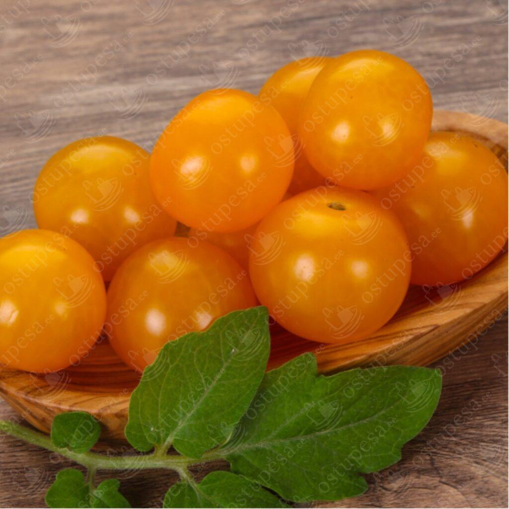 Tomatiseemned, punane Bajaja, kollane Aztek ja oranž Venus komplektis