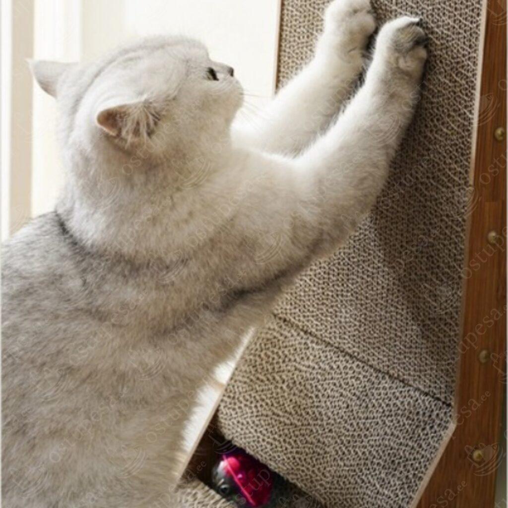 2-ühes kassi kraapimisalus, Purlov