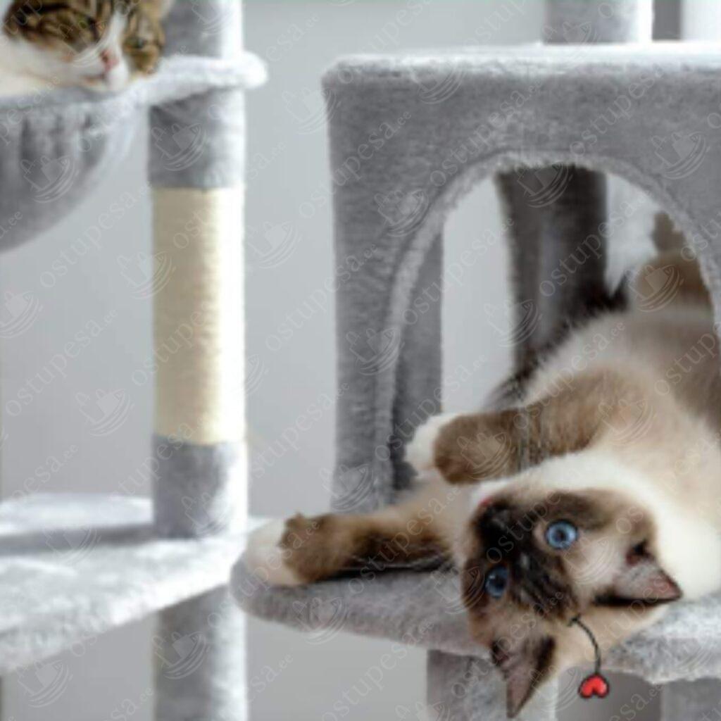 Kassi kraapimispuu, 143 cm