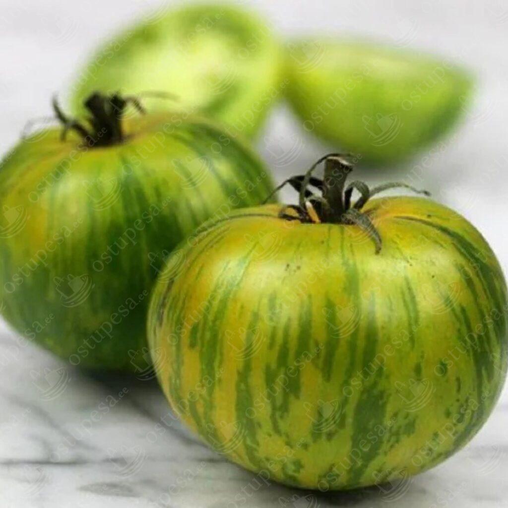 Tomatiseemned “Evergreen”