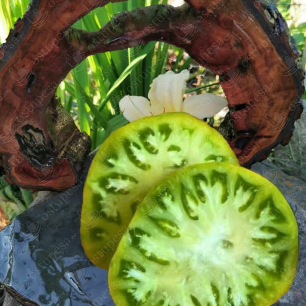 Tomatiseemned “Evergreen”