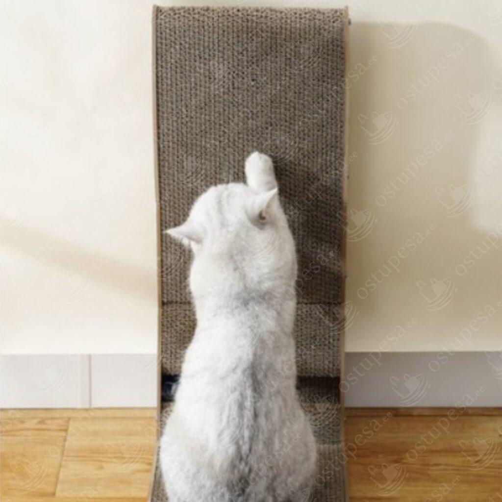 2-ühes kassi kraapimisalus, Purlov