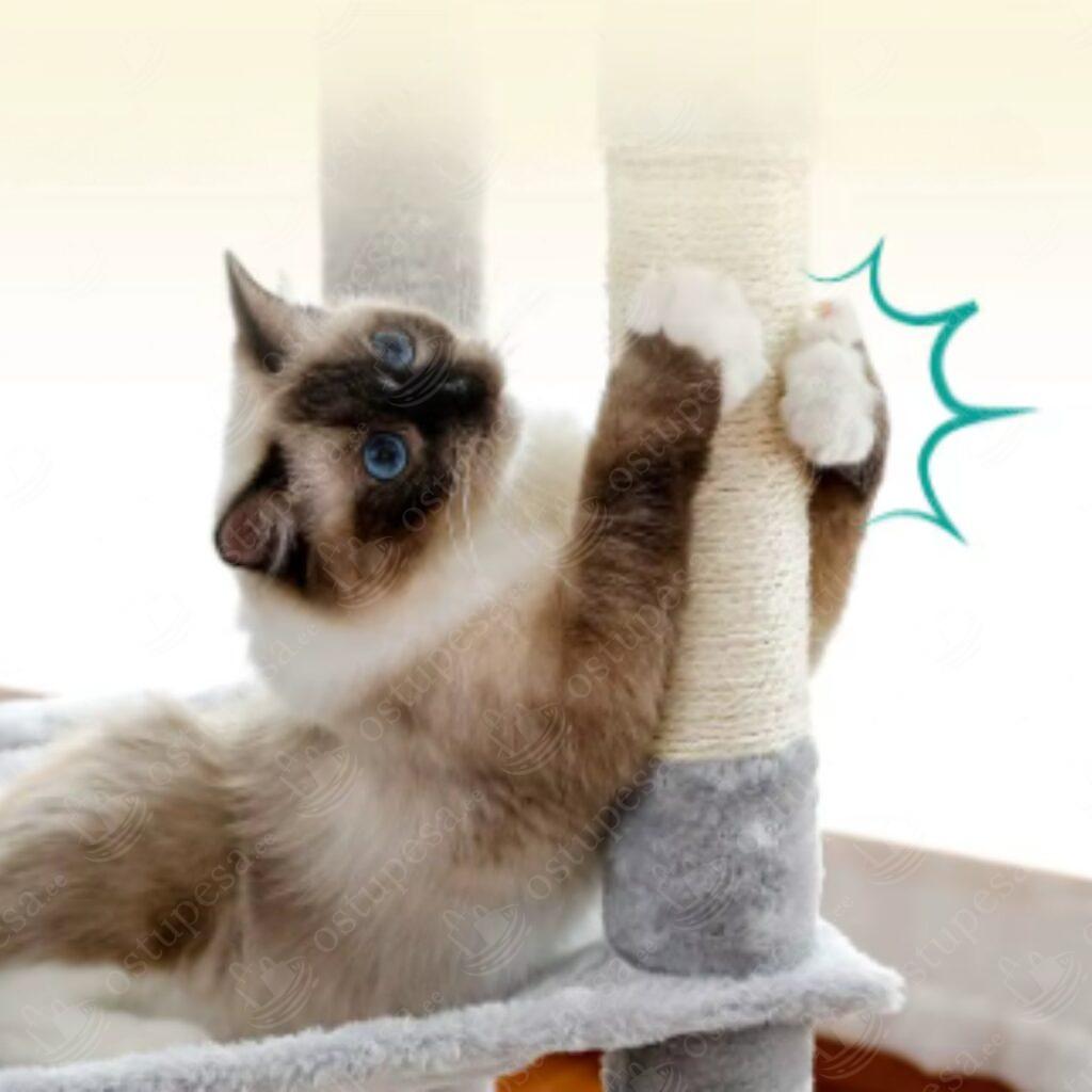 Kassi kraapimispuu, 143 cm