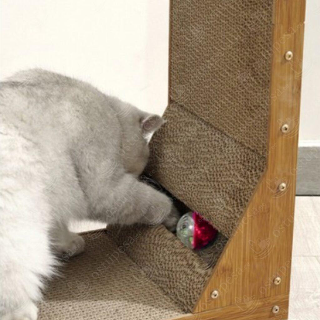 2-ühes kassi kraapimisalus, Purlov