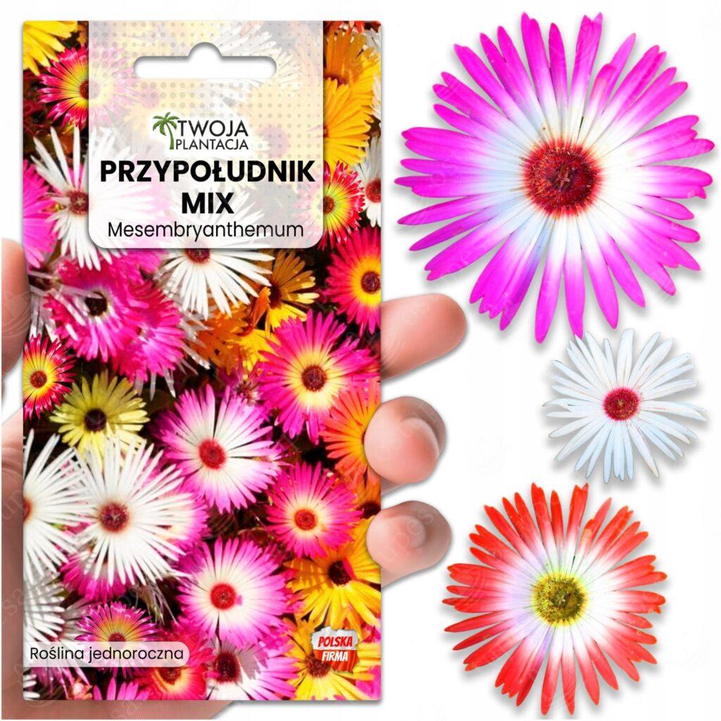 Suvelillede seemned, 4 erinevat komplektis (Kosmos, Adonis, Cynia, Mesembryanthemum)