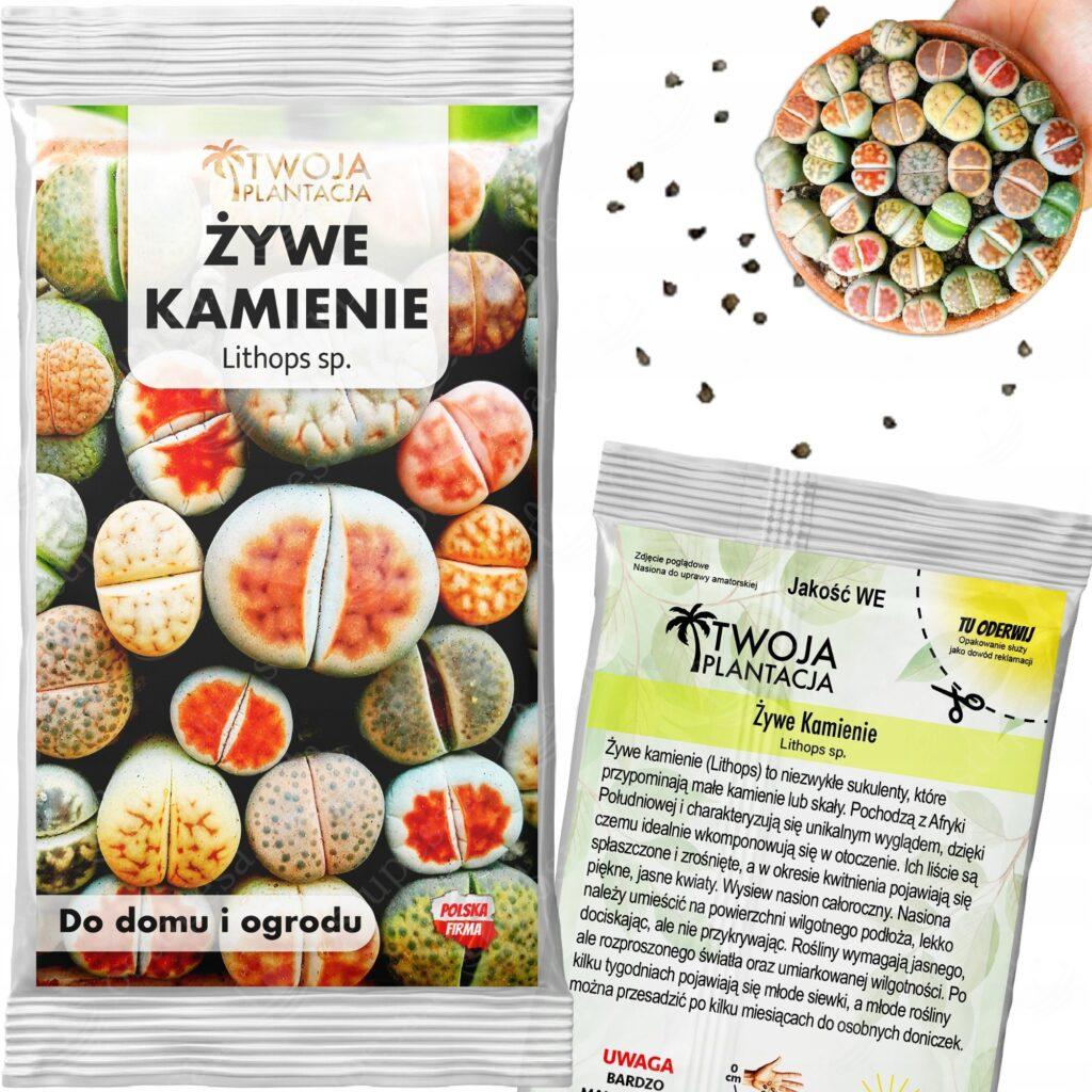 Elavad kivid, Lithops sp., värvide mix, 20 seemet pakis