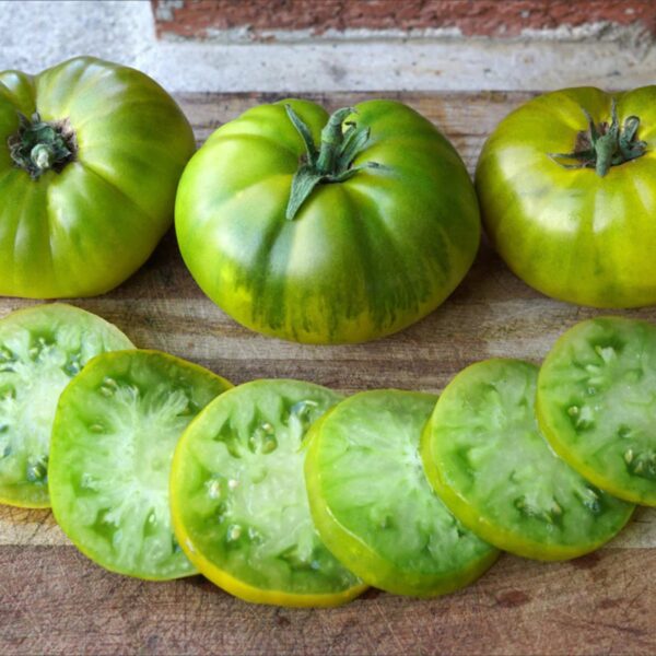 Tomatiseemned "Evergreen"