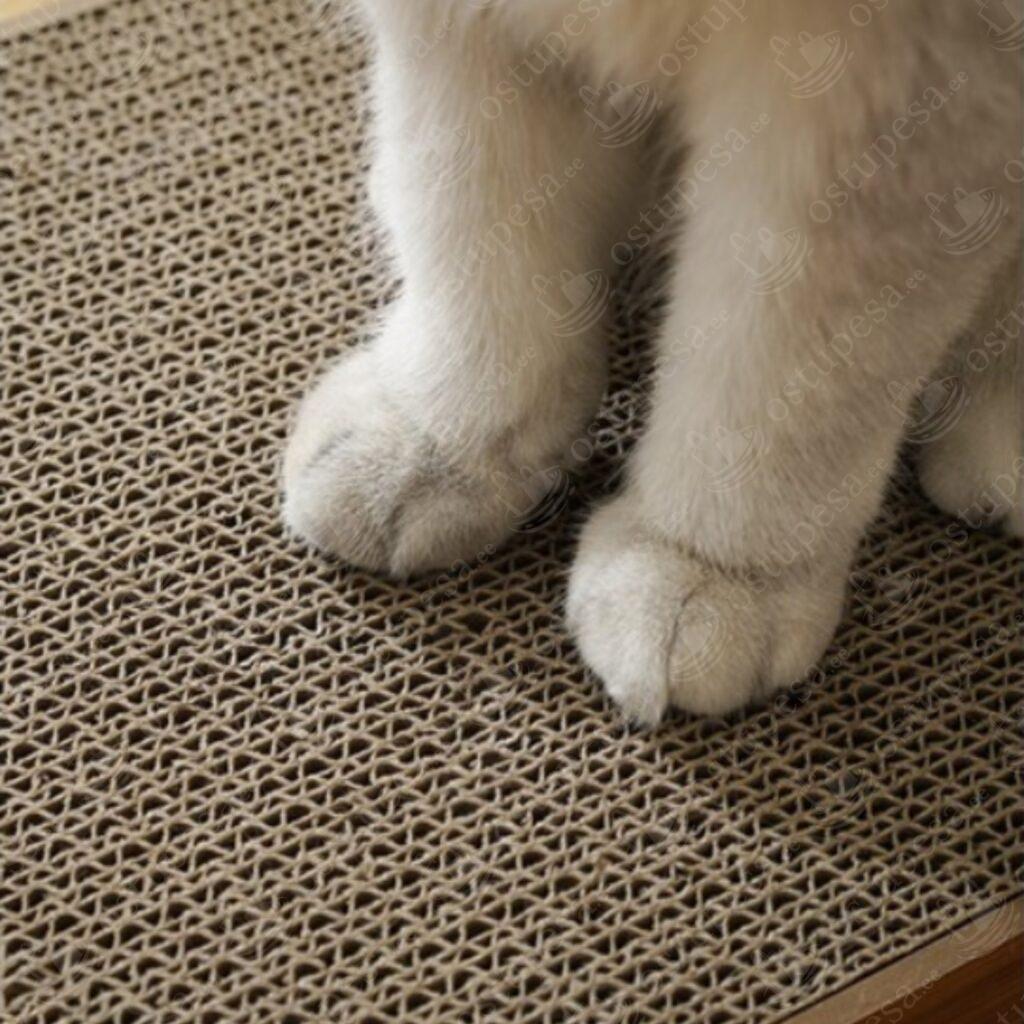 2-ühes kassi kraapimisalus, Purlov