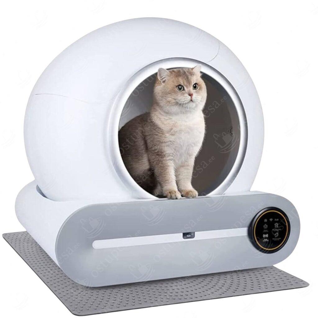 Elektriline isepuhastuv kassiliivakast