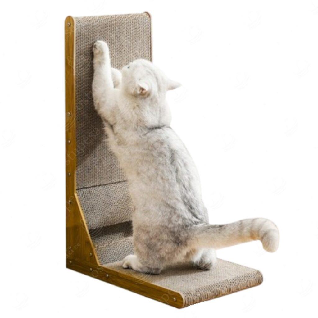 2-ühes kassi kraapimisalus, Purlov