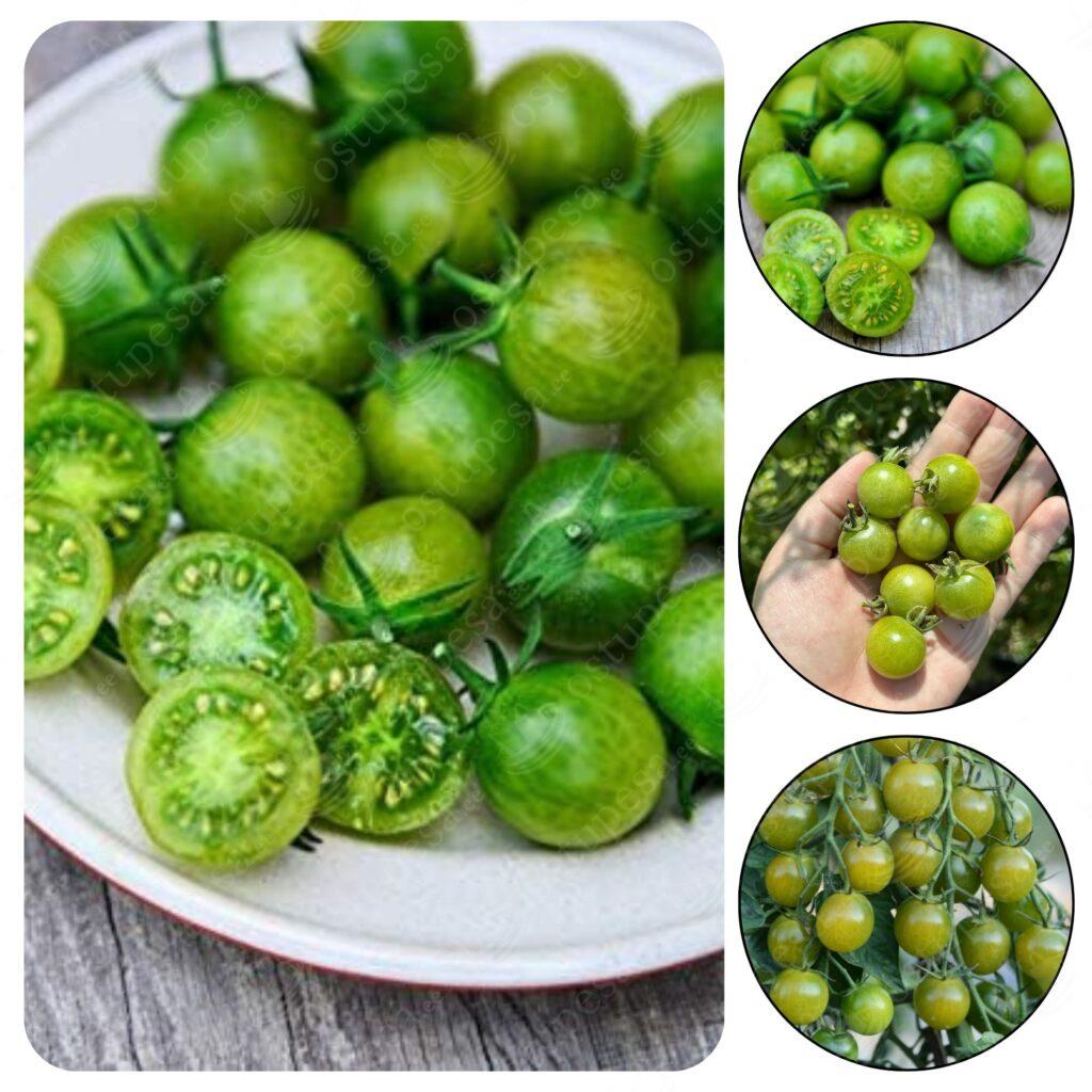 Kirsstomati seemned, Limetto