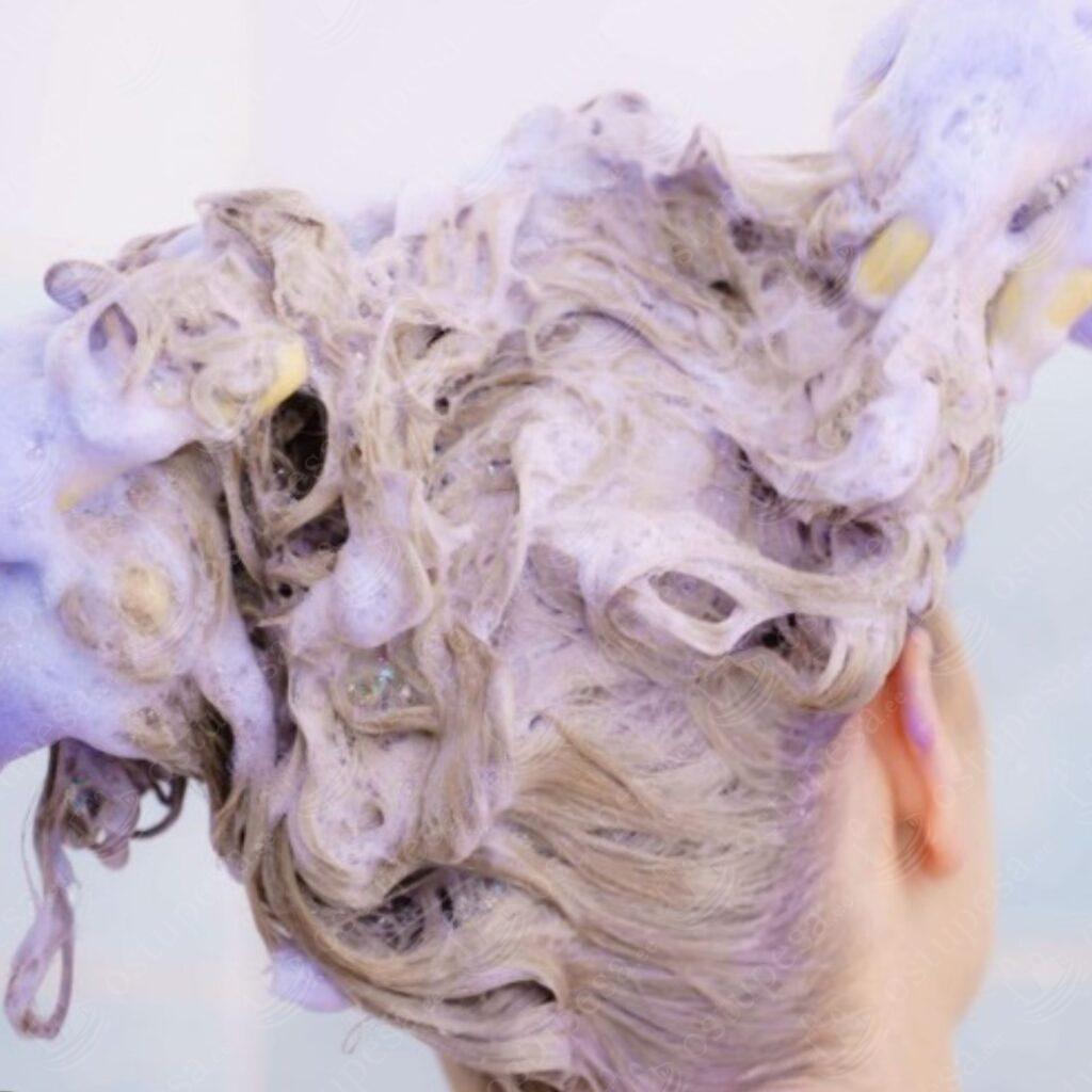 Hõbešampoon, 250 ml, Delia, 2 tk komplektis