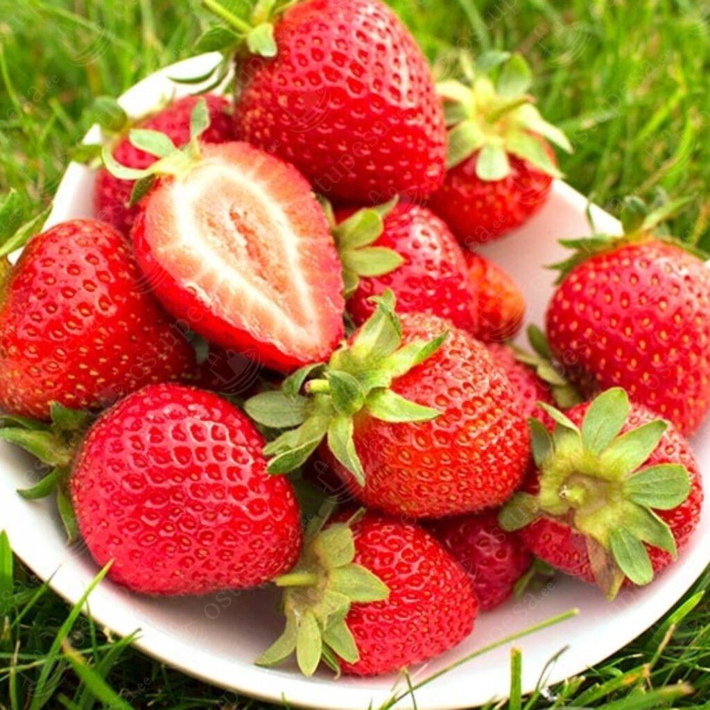 Maasikaseemned, rippuv maasikas Temptation, 2 pakki komplektis