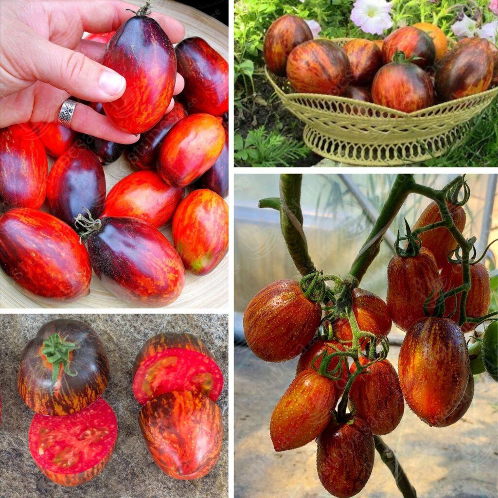 Harry Potter kummikommid, 5 pakki komplektis, Haribo